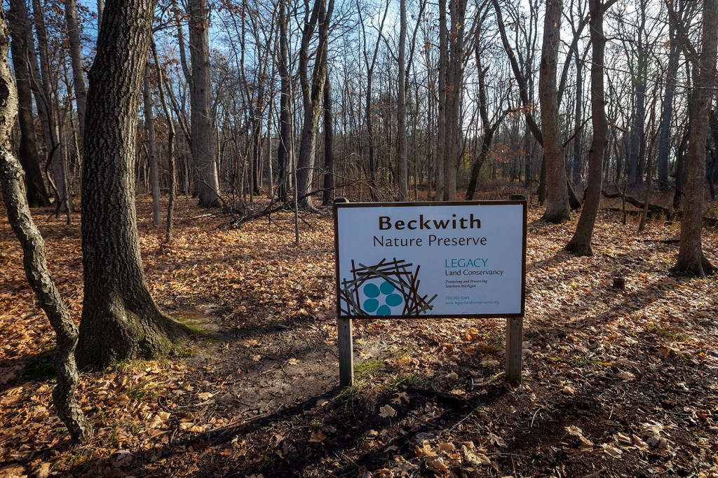 Discovering Beckwith Nature Preserve