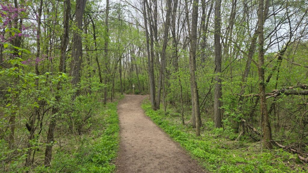 Hiking the Tranquil Penosha Trail in Brighton Recreation Area