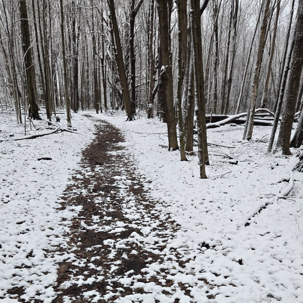 Dirt Trail at Valhalla Park