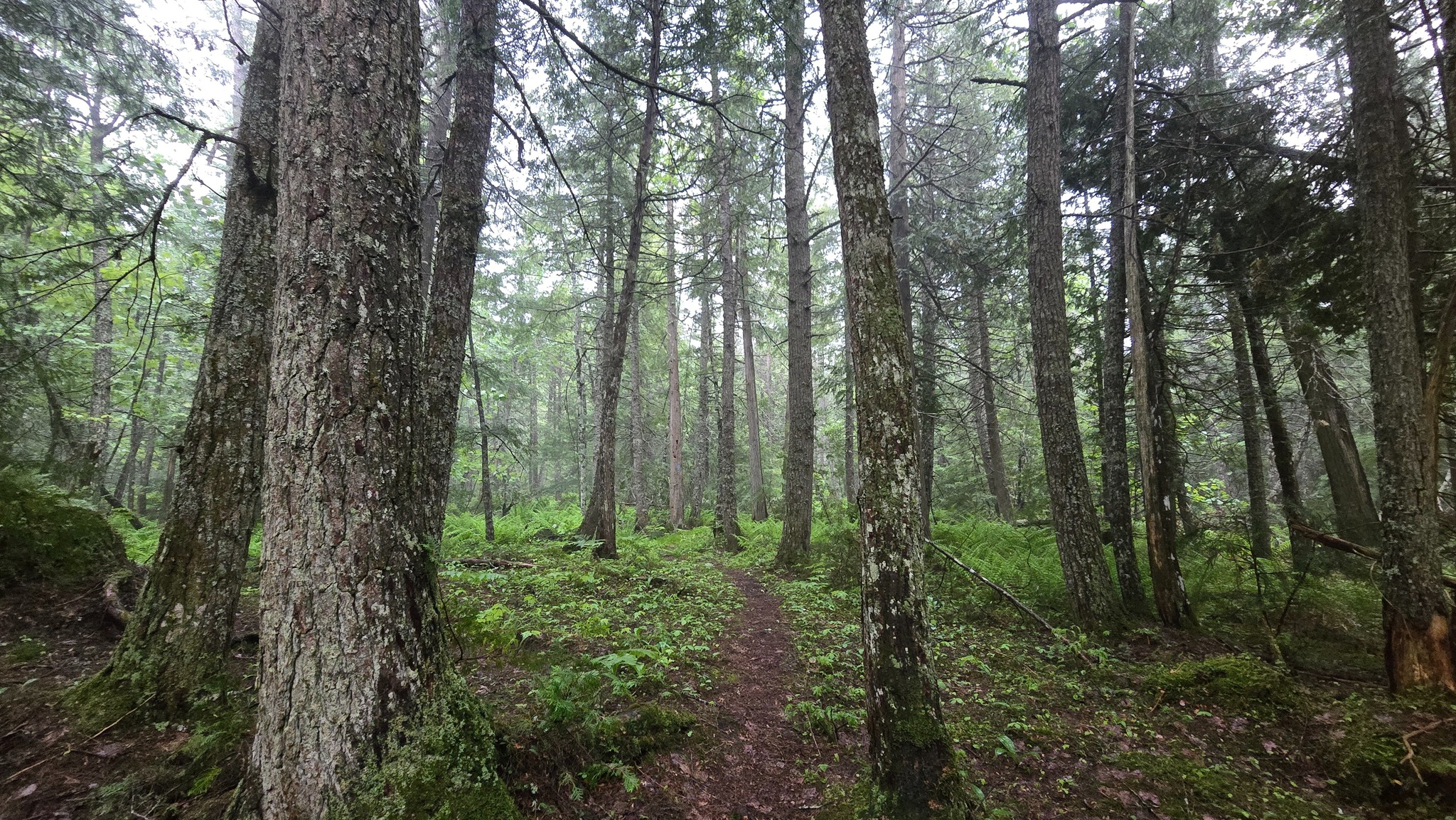 Go On an Adventure with the Two Hearted Half Marathon