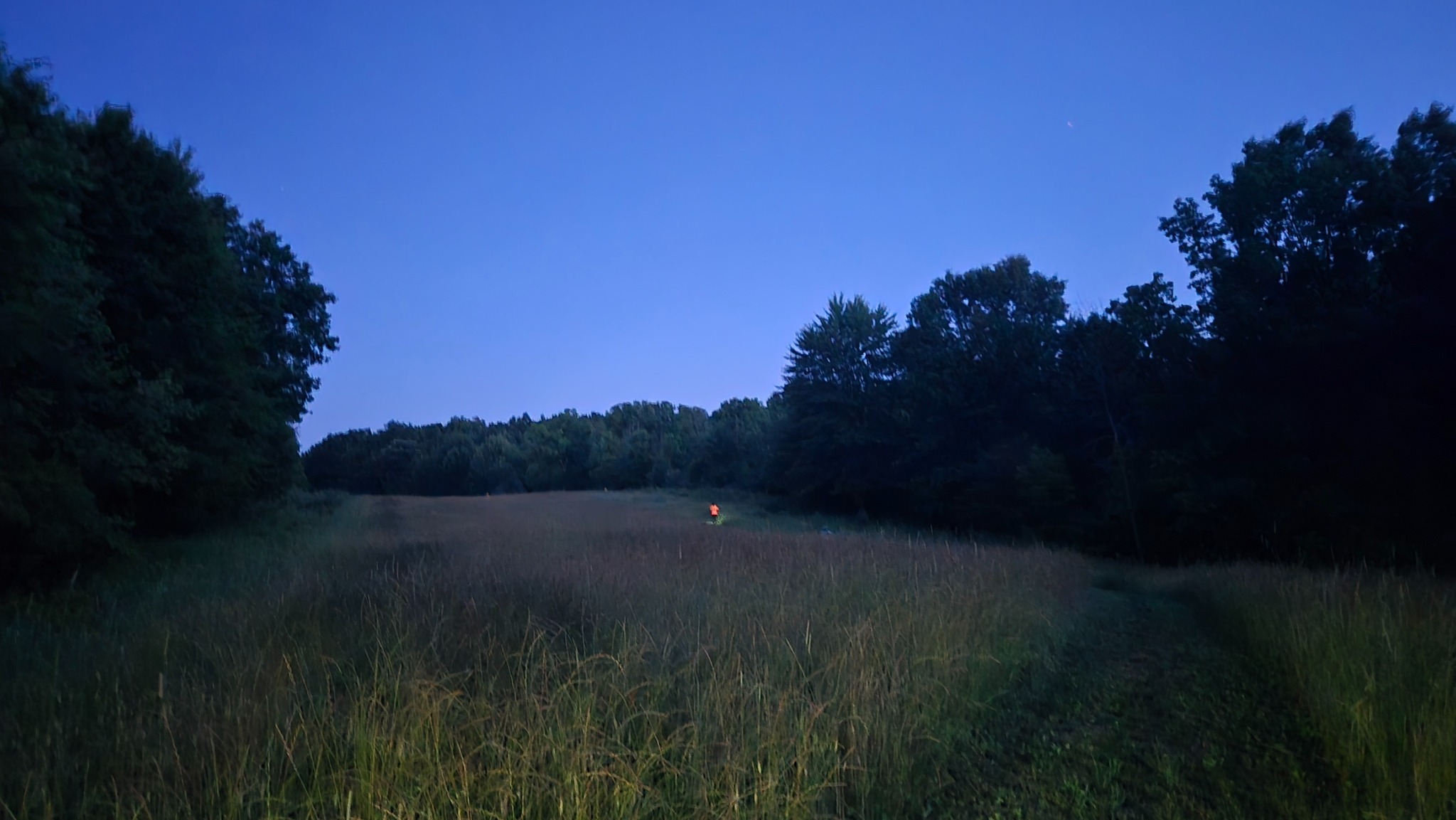 Nighthawk 5: A Nighttime Adventure