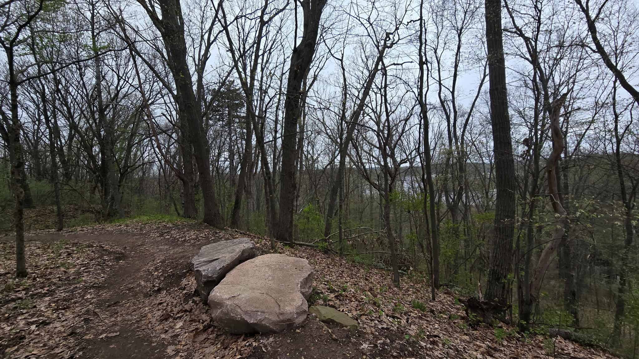 Returning to Trail Weekend 50K
