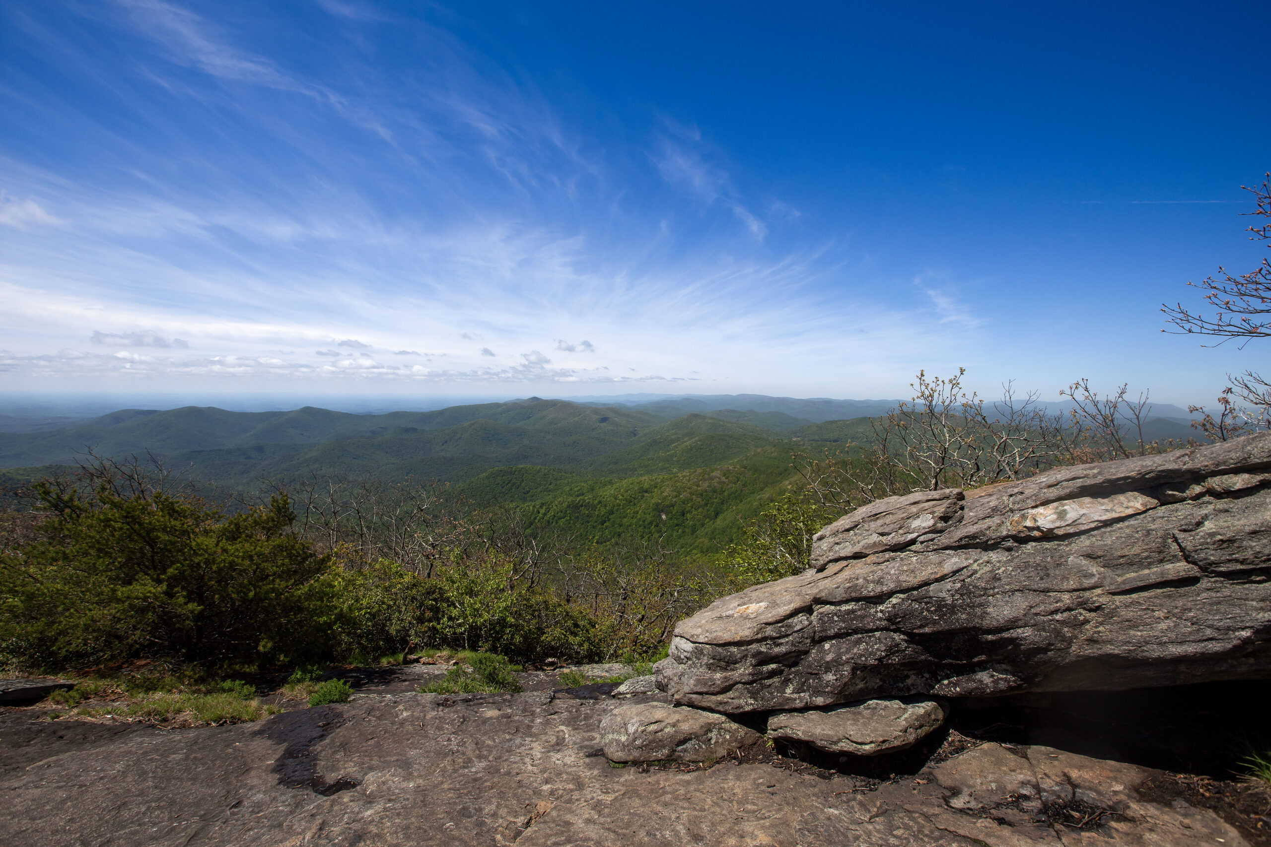 Summiting Blood Mountain: A Taste of the Appalachian Trail