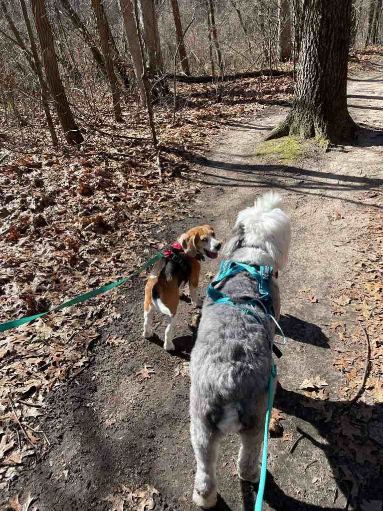 Dakota with his new friend