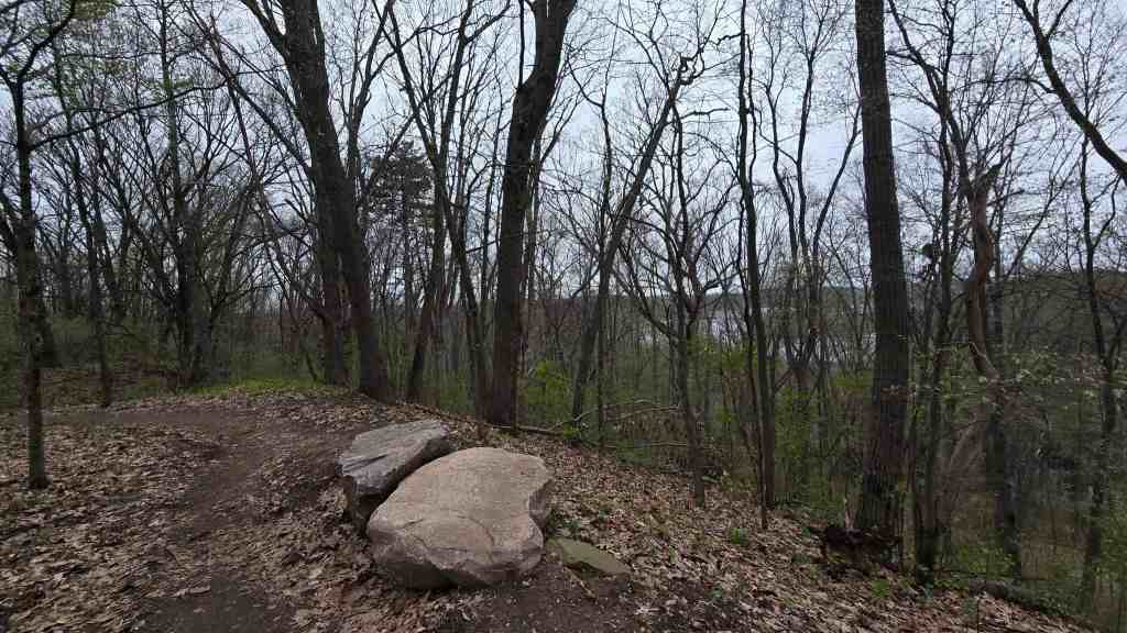 Returning to Trail Weekend&nbsp;50K