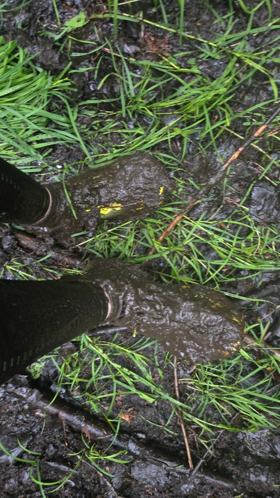 Amie's muddy shoes after the wetland