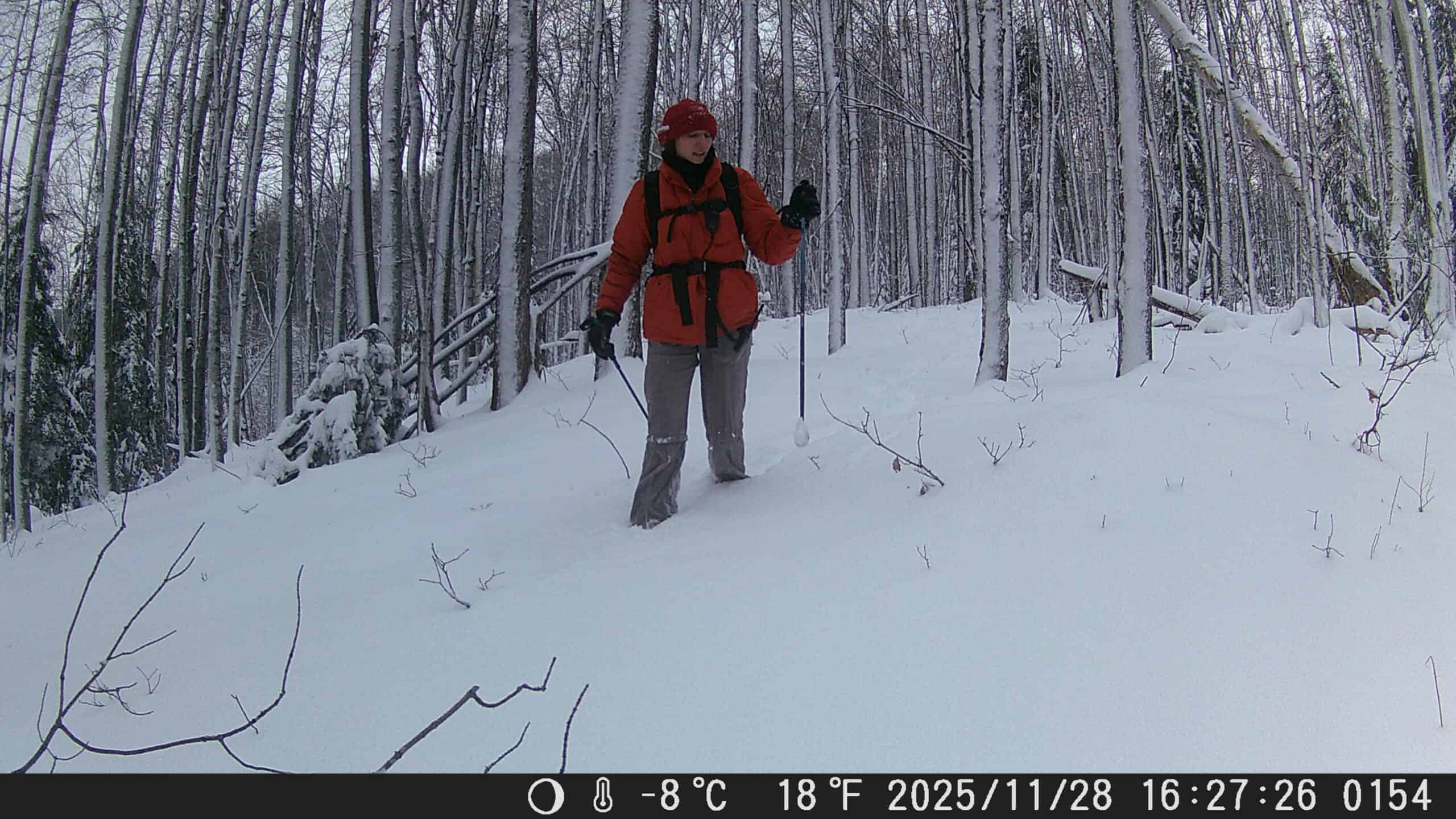 Amie using hiking poles on the trail cam