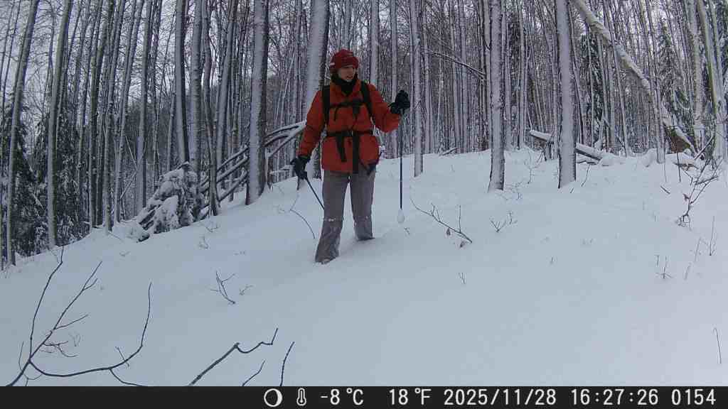Gear Review: Black Diamond Distance Carbon Z Poles