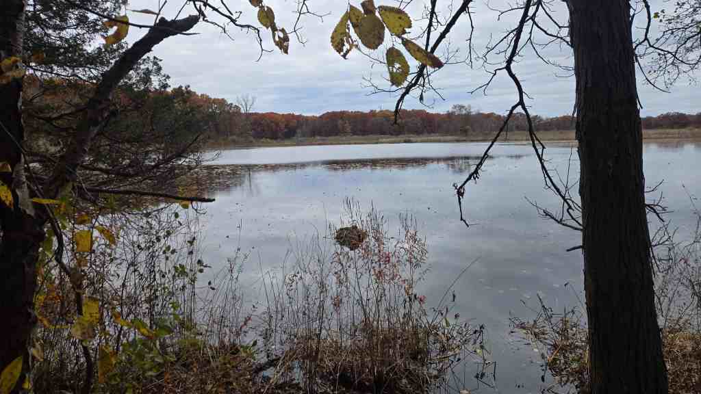 Winnewanna Impoundment Lake from the trail