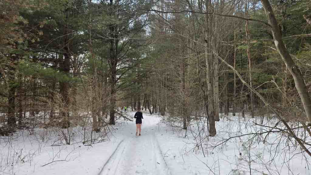 Forested Trail at Winter Trail Fest
