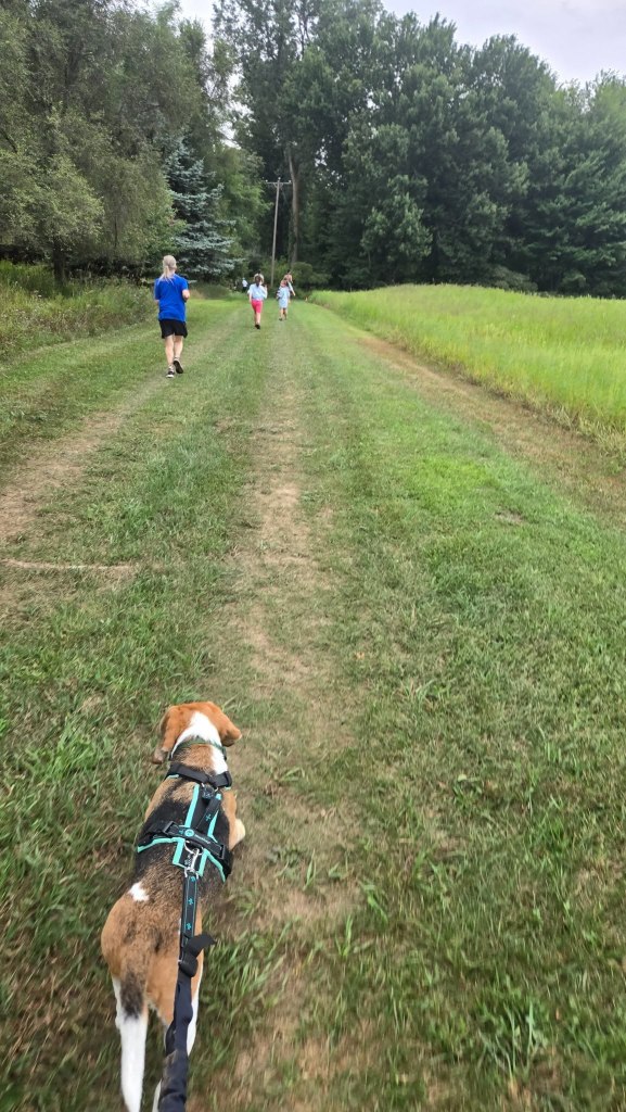 Dakota running on a grassy section of trail